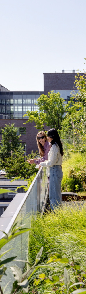People exploring a biodiverse rooftop garden designed to support urban biodiversity, well-being, and climate resilience.