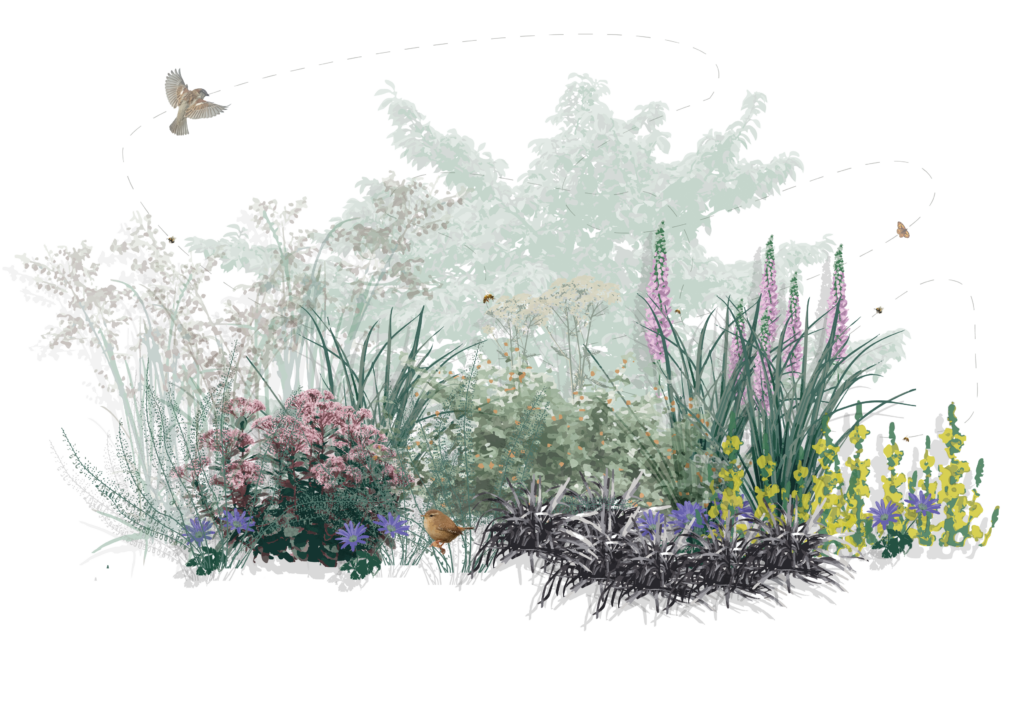 Mixed naturalistic planting community with trees, shrubs, and flowering perennials designed to enhance biodiversity and ecological resilience.