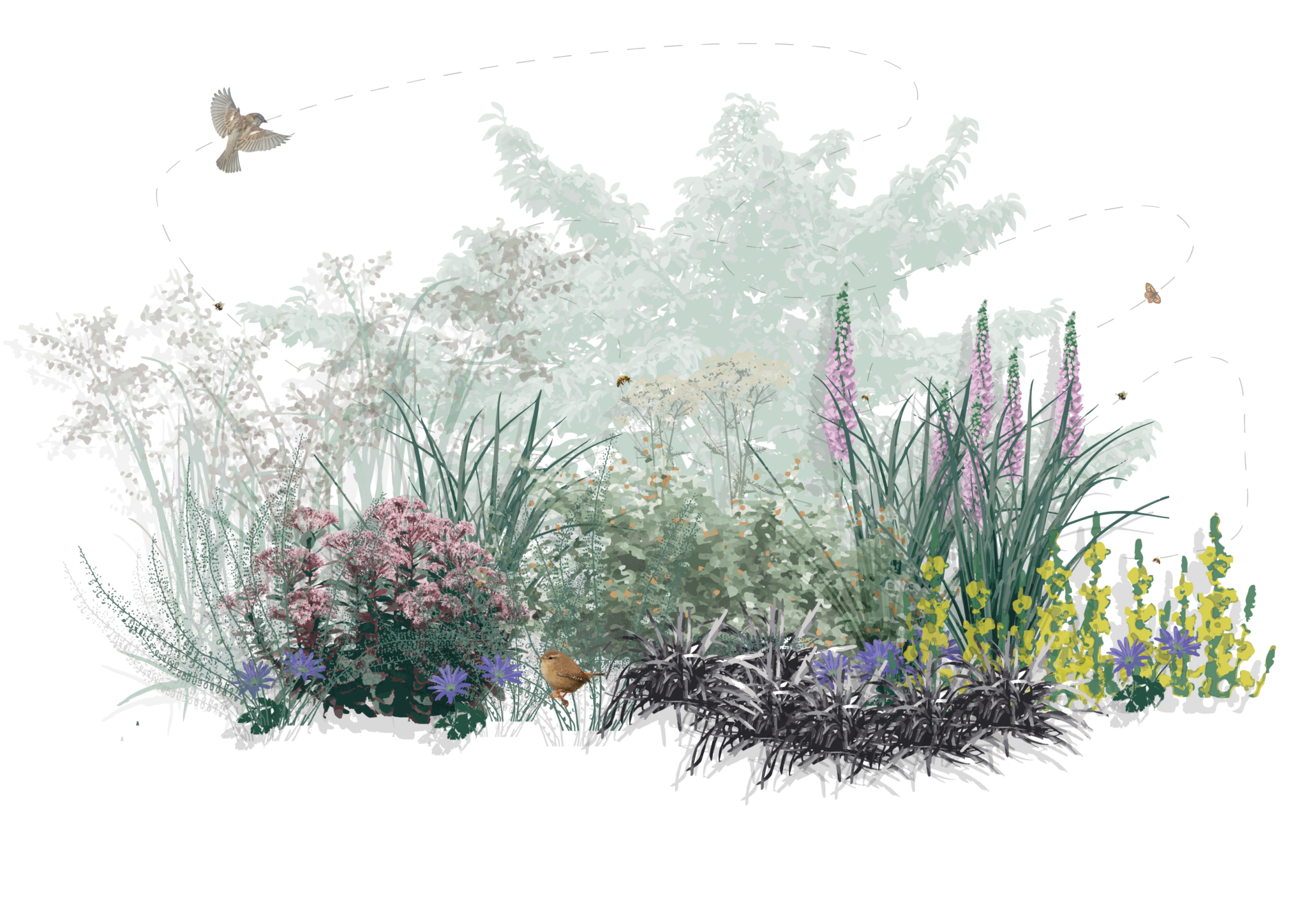 Mixed naturalistic planting community with trees, shrubs, and flowering perennials designed to enhance biodiversity and ecological resilience.