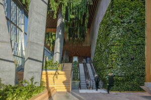 Tall living wall beside escalators, wooden stairs, planted beds and hanging greenery in The Bridge’s sunlit lobby in Warsaw.