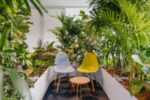 White and yellow chairs with a small round wooden table enclosed by lush plants in white planters.